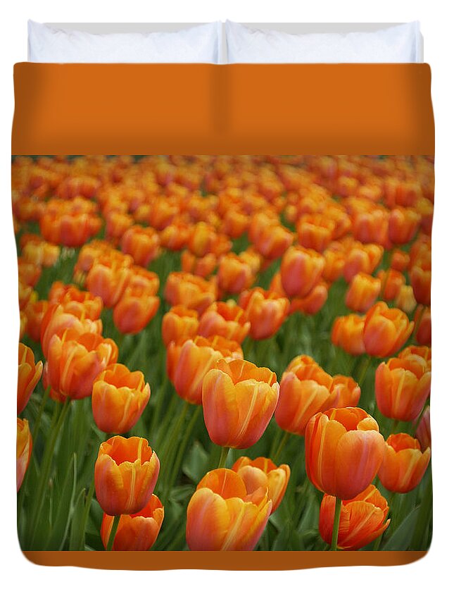 Feb0514 Duvet Cover featuring the photograph Tulip Flower Garden Japan #1 by Hiroya Minakuchi