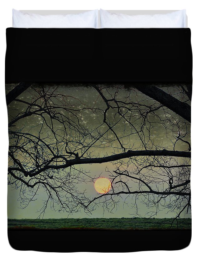 Night Duvet Cover featuring the photograph Twilight #2 by Jan Amiss Photography