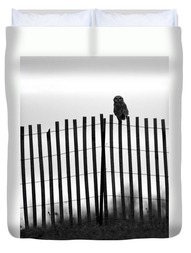 Short-eared Owl Duvet Cover featuring the photograph Waiting Owl by Tracy Winter
