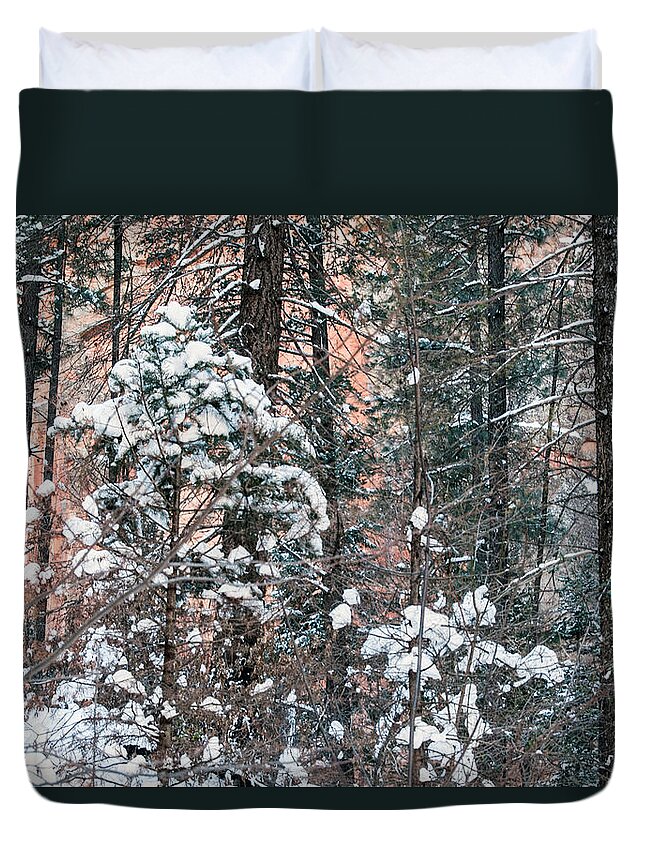 Snow Duvet Cover featuring the photograph West Fork Snow #1 by Tam Ryan
