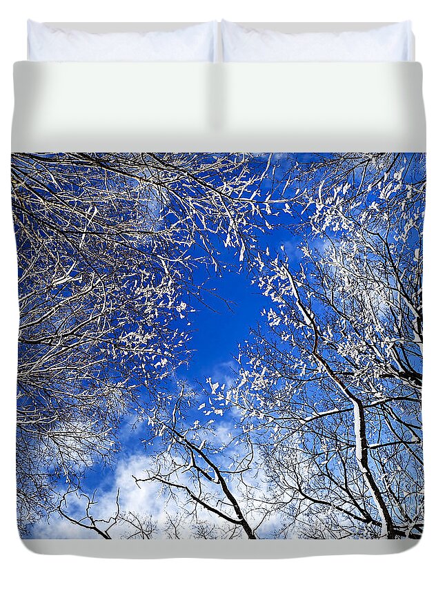 Winter Duvet Cover featuring the photograph Winter trees and blue sky 1 by Elena Elisseeva