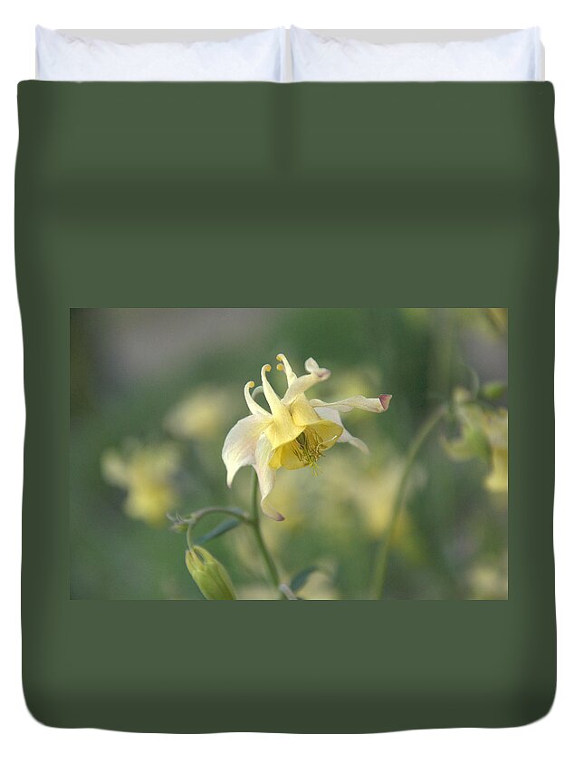 Flower Duvet Cover featuring the photograph Yellow Columbine #1 by Frank Madia