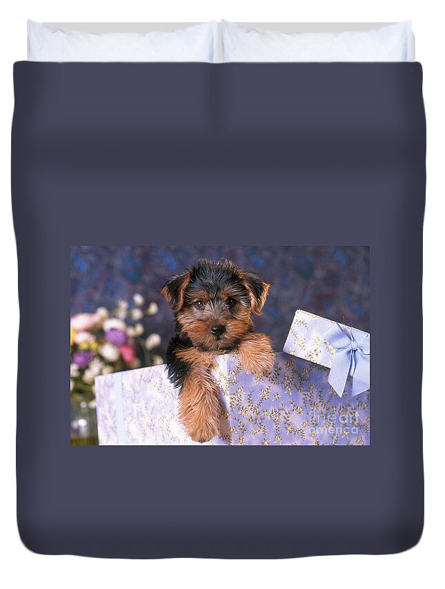 Animal Duvet Cover featuring the photograph Yorkshire Terrier Puppy #2 by Alan and Sandy Carey