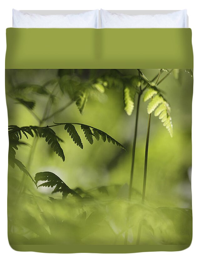 Beautiful Duvet Cover featuring the photograph Young fern leaves #1 by Ulrich Kunst And Bettina Scheidulin