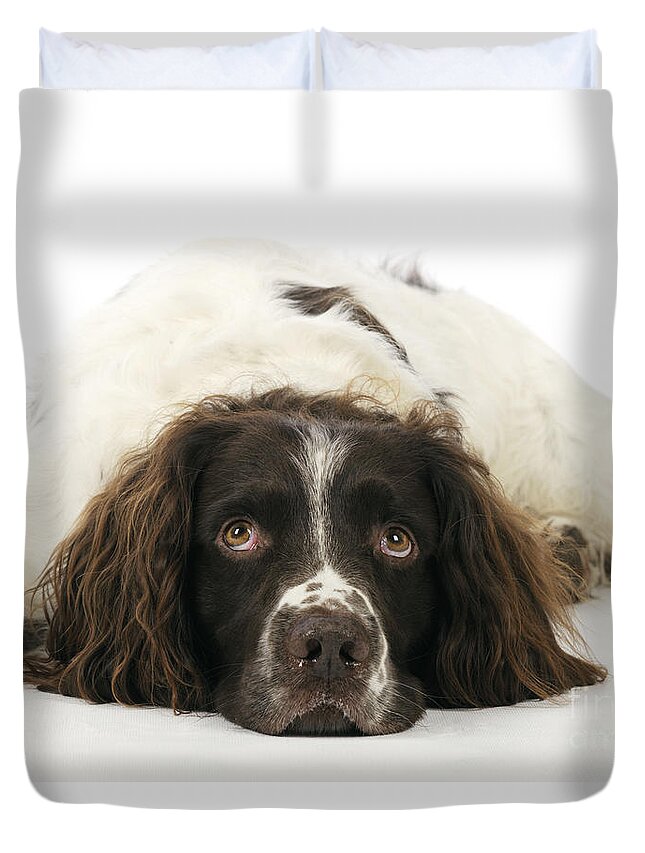 Dog Duvet Cover featuring the photograph English Springer Spaniel #10 by John Daniels