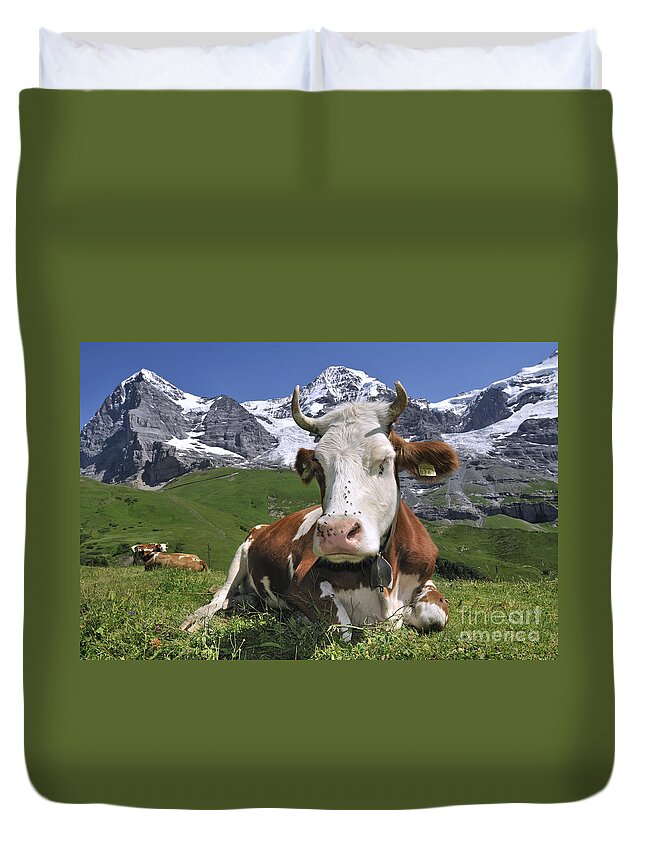 Alpine Cow Duvet Cover featuring the photograph 100205p182 by Arterra Picture Library