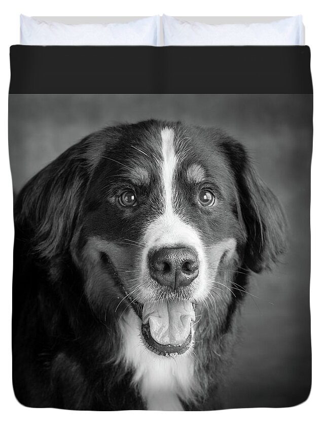 Photography Duvet Cover featuring the photograph Portrait Of Bernese Mountain Dog #11 by Animal Images