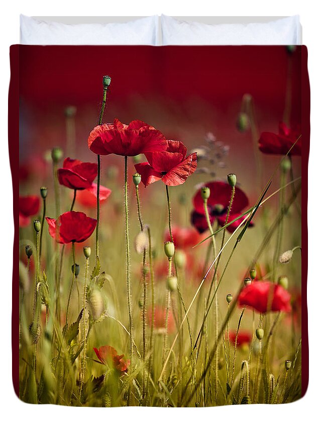 Poppy Duvet Cover featuring the photograph Summer Poppy #11 by Nailia Schwarz