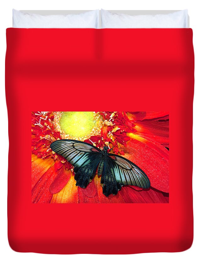 Butterfly; Flower; Mormon Butterfly; Butterfly Wonderland; Scottsdale Duvet Cover featuring the photograph Mormon Butterfly #1 by Tam Ryan