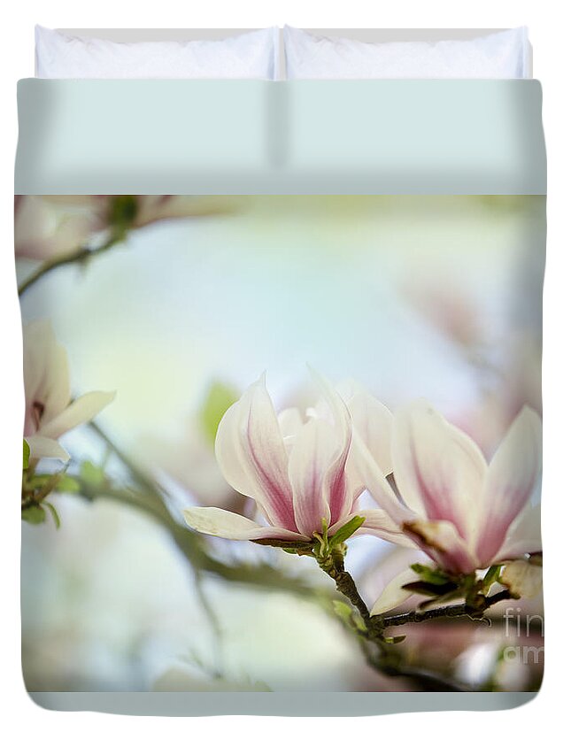 Magnolia Duvet Cover featuring the photograph Magnolia Flowers #12 by Nailia Schwarz
