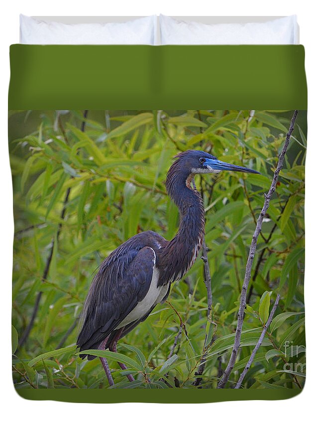 Tri-colored Heron Duvet Cover featuring the photograph 13- Tri-Colored Heron by Joseph Keane
