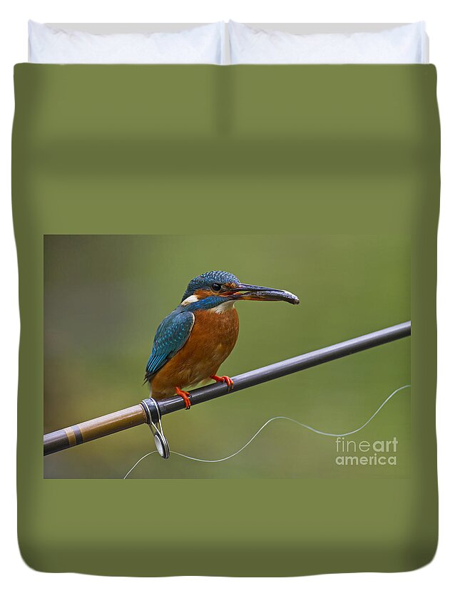 Common Kingfisher Duvet Cover featuring the photograph 140915p058 by Arterra Picture Library