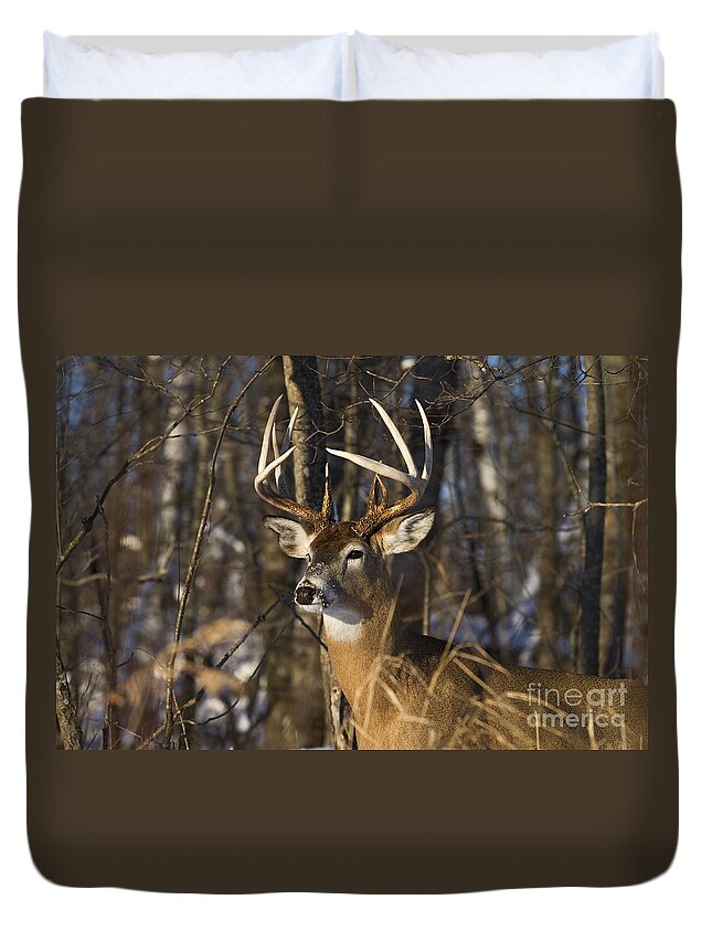Nature Duvet Cover featuring the photograph White-tailed Deer In Winter #18 by Linda Freshwaters Arndt