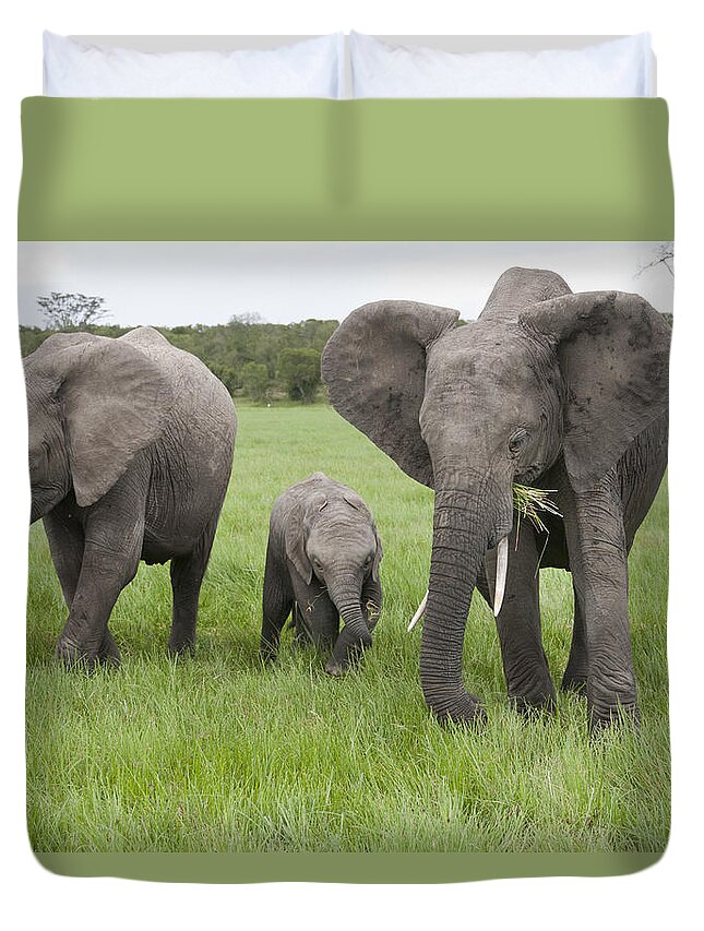 Feb0514 Duvet Cover featuring the photograph African Elephants Grazing Kenya #2 by Tui De Roy