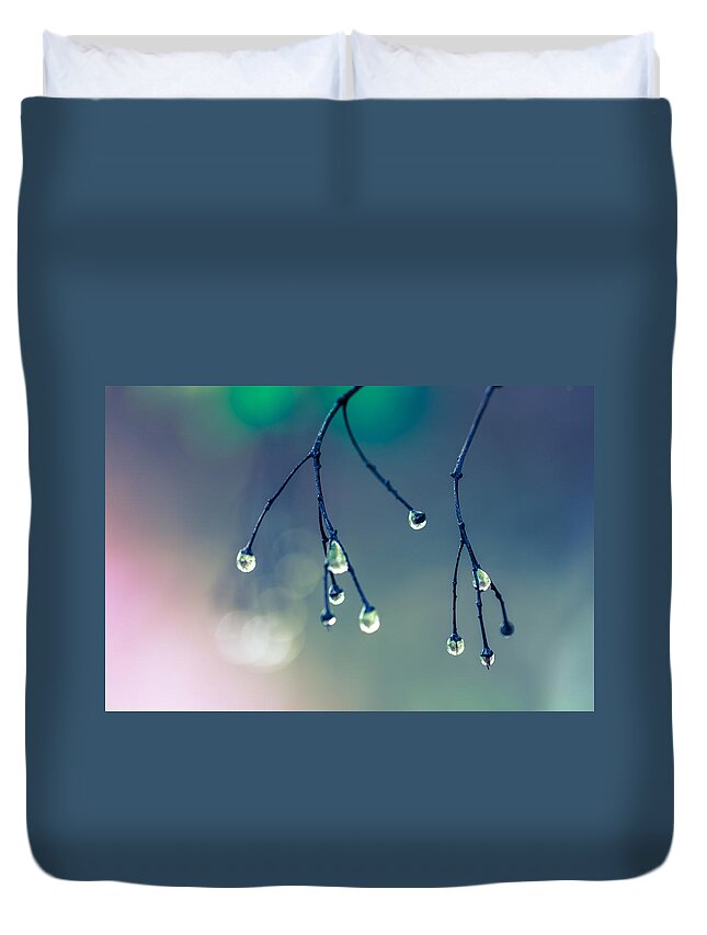 Canada Duvet Cover featuring the photograph After Rain by Jakub Sisak