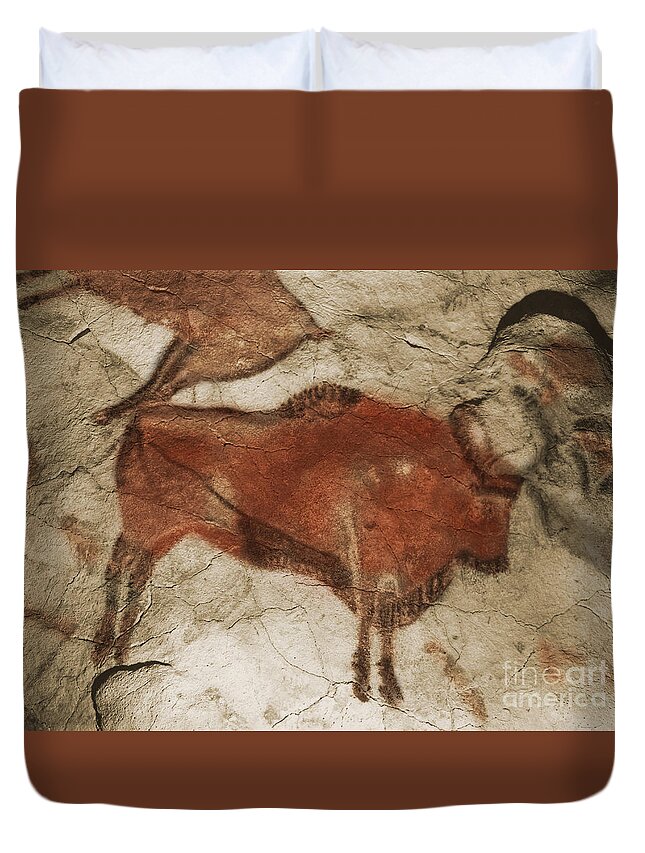 Cave Painting Duvet Cover featuring the photograph Altamira Cave Paintings #4 by Photo Researchers