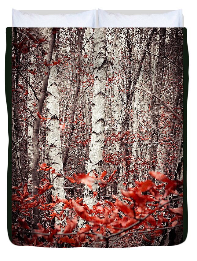 Autumn Duvet Cover featuring the photograph Birches And Beeches #2 by Hannes Cmarits