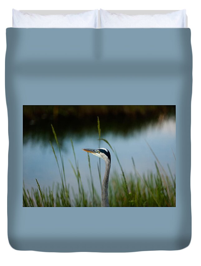 Blue Heron Duvet Cover featuring the photograph Blue Heron #2 by Raul Rodriguez