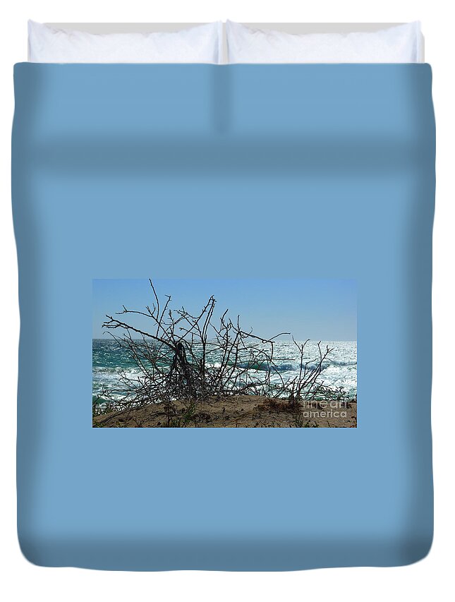 Branches Duvet Cover featuring the photograph Branches at beach by Nora Boghossian