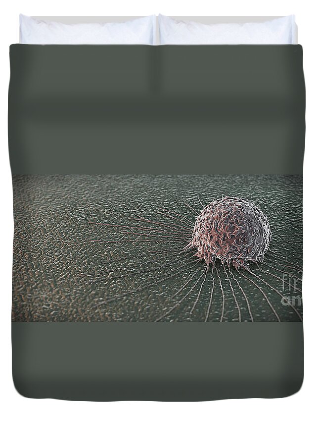 Cells Duvet Cover featuring the photograph Breast Cancer Cell #15 by Science Picture Co