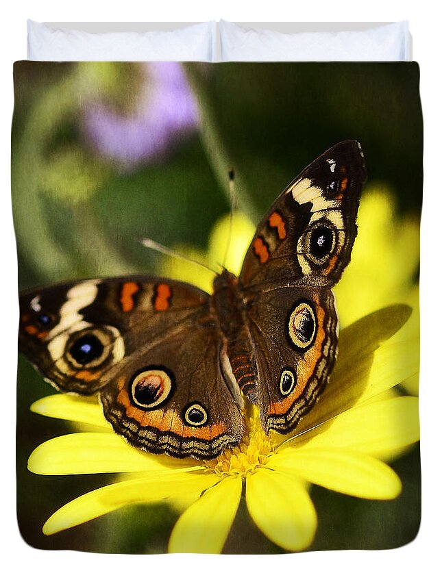Buckeye Butterfly Duvet Cover featuring the photograph Buckeye Butterfly #1 by Saija Lehtonen