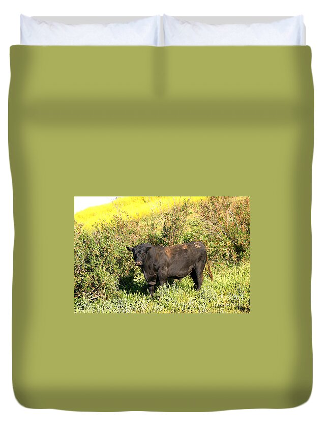 Agriculture Duvet Cover featuring the photograph Bull #2 by Henrik Lehnerer