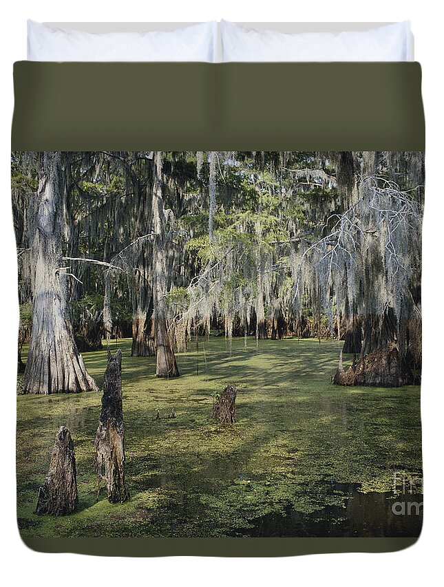 Bald Cypress Duvet Cover featuring the photograph Caddo Lake, Texas #2 by Gregory G. Dimijian, M.D.