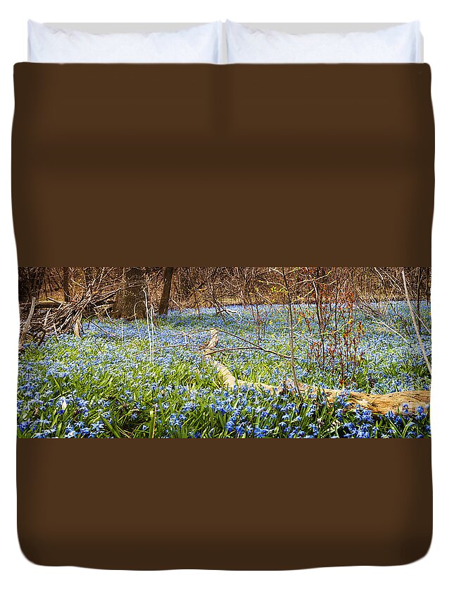 Flowers Duvet Cover featuring the photograph Carpet of blue flowers in spring forest 1 by Elena Elisseeva