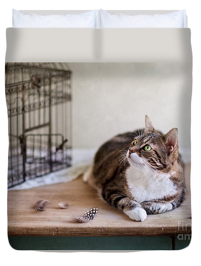 Katze Duvet Cover featuring the photograph Cat and Bird Cage by Nailia Schwarz