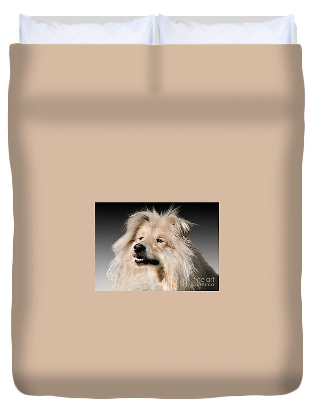 Black Background Duvet Cover featuring the photograph Collie Dog #2 by Linsey Williams