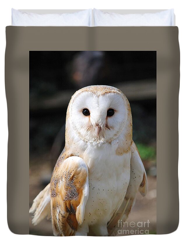 Common Duvet Cover featuring the photograph Common Barn Owl #2 by David Fowler