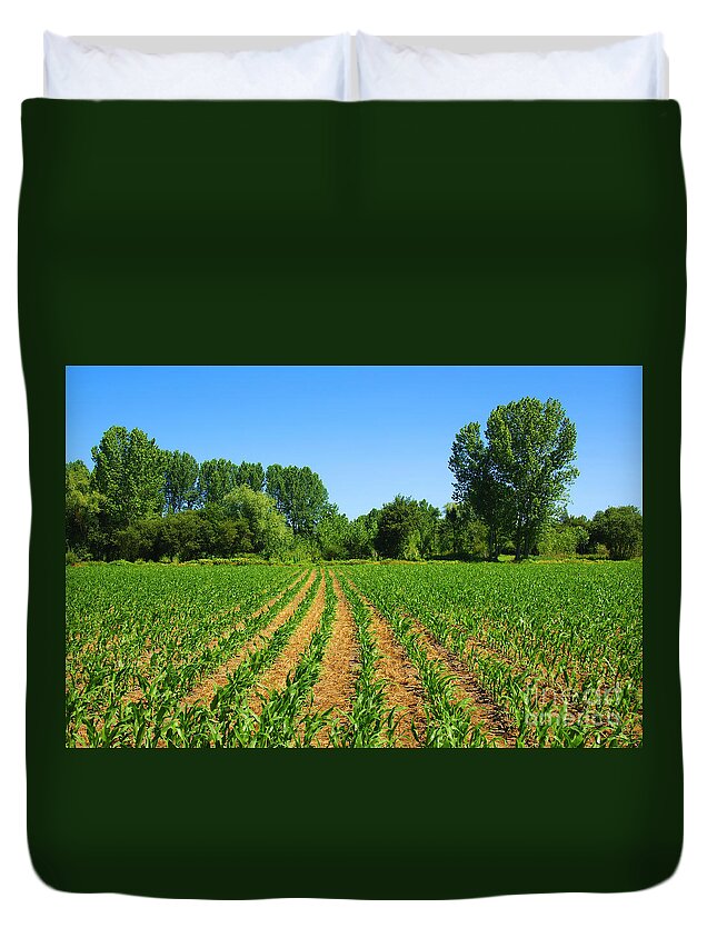 Agricultural Duvet Cover featuring the photograph Cultivated Land #2 by Carlos Caetano