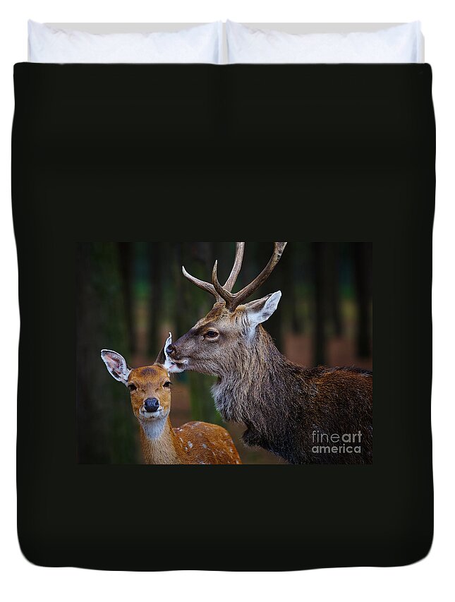 Mating Duvet Cover featuring the photograph Deer love #3 by Nick Biemans