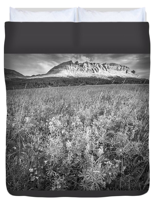 Glacier National Park Duvet Cover featuring the photograph 2 Dog Flats with Lupine Glacier National Park BW by Rich Franco