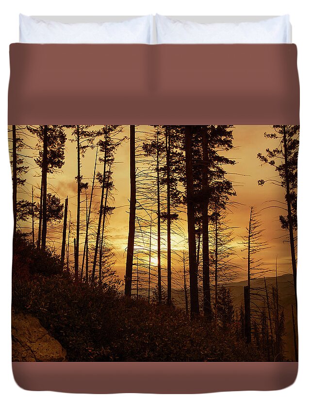 Ron Roberts Photography Duvet Cover featuring the photograph Early Morning #2 by Ron Roberts