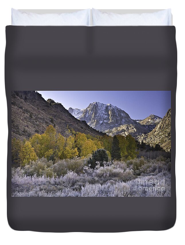 Eastern Sierra Duvet Cover featuring the photograph Eastern Sierras In Autumn #2 by John Shaw