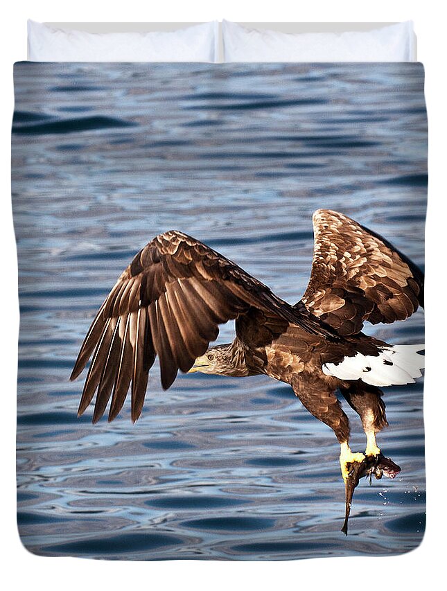 White_tailed Eagle Duvet Cover featuring the photograph European Fishing Sea Eagle 4 by Heiko Koehrer-Wagner