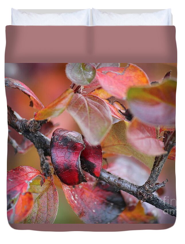 Leaves Duvet Cover featuring the photograph Fall Leaves #2 by Ann E Robson