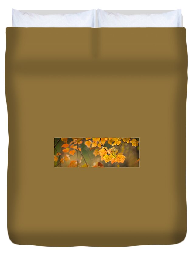 Autumn Duvet Cover featuring the photograph Golden Fall Leaves by Joye Ardyn Durham