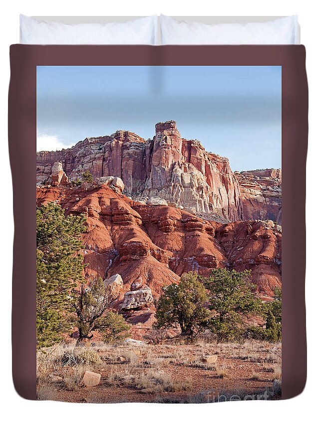 Autumn Duvet Cover featuring the photograph Golden Throne Capitol Reef National Park #2 by Fred Stearns