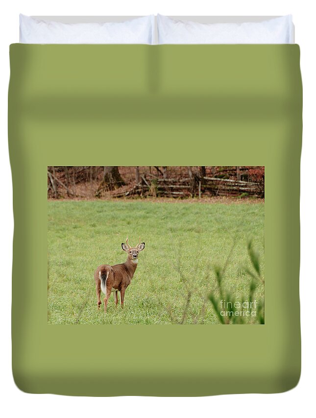 Landscapes Duvet Cover featuring the photograph Hello Deer #2 by Cheryl Baxter