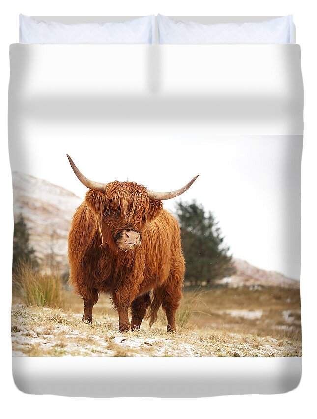 Highland Cattle Duvet Cover featuring the photograph Highland Cow by Grant Glendinning