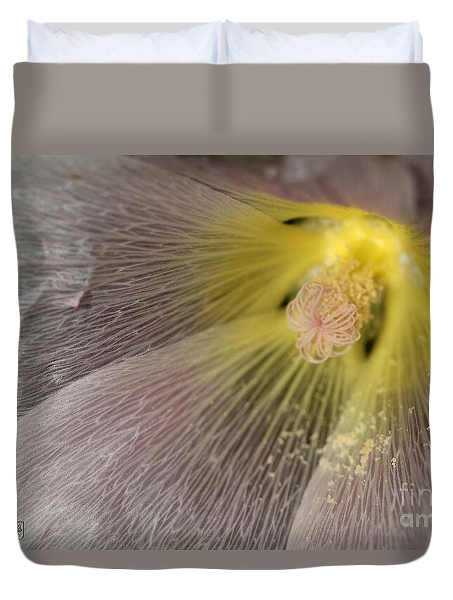 Mccombie Duvet Cover featuring the photograph Hollyhock named Indian Spring Pink #2 by J McCombie