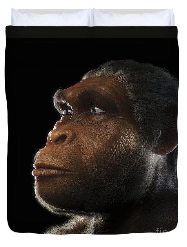 Extinction Duvet Cover featuring the photograph Homo Habilis #2 by Science Picture Co