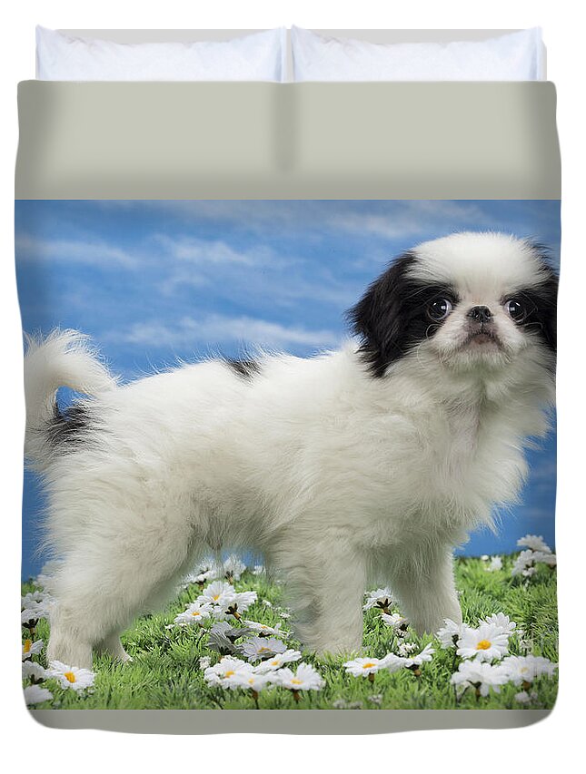 Dog Duvet Cover featuring the photograph Japanese Chin Puppy #2 by Jean-Michel Labat