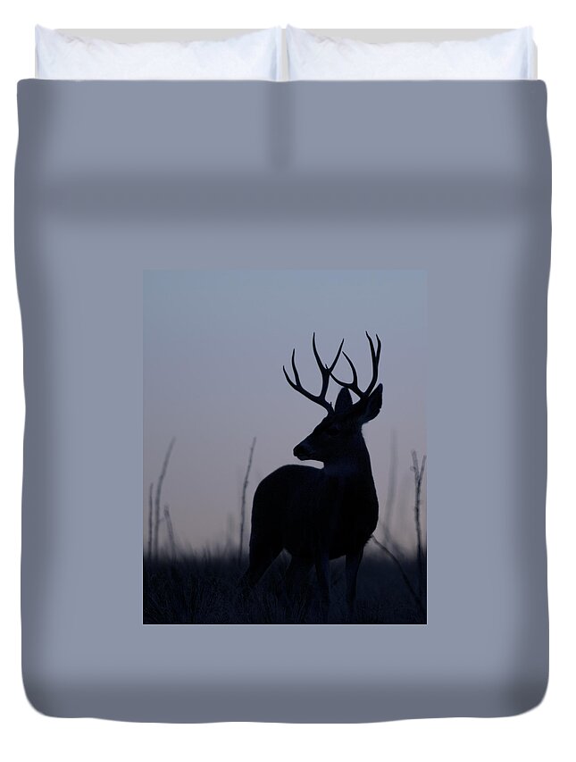 Mule Duvet Cover featuring the photograph Mule Deer Buck at Sunset #2 by Gary Langley