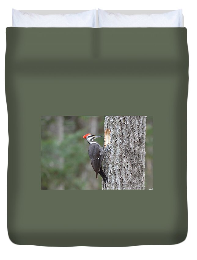 Pileated Woodpecker Duvet Cover featuring the photograph Pileated Woodpecker #2 by James Petersen