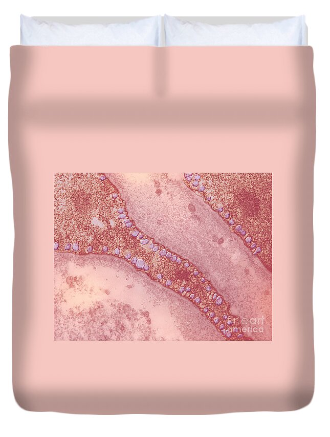 Pinocytosis Duvet Cover featuring the photograph Pinocytosis #2 by David M. Phillips