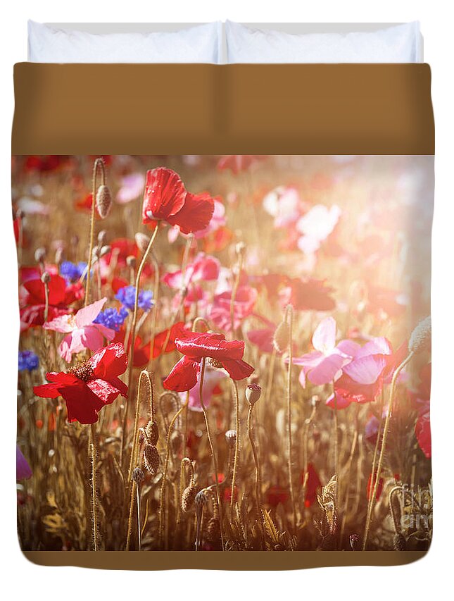 Poppies Duvet Cover featuring the photograph Poppies in sunny meadow by Elena Elisseeva