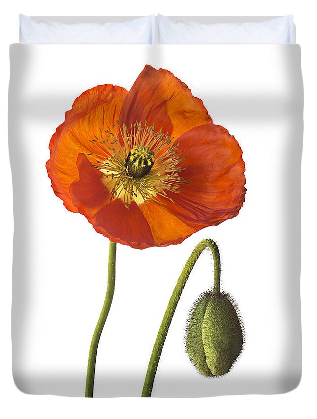 Flower Duvet Cover featuring the photograph Poppy by Endre Balogh